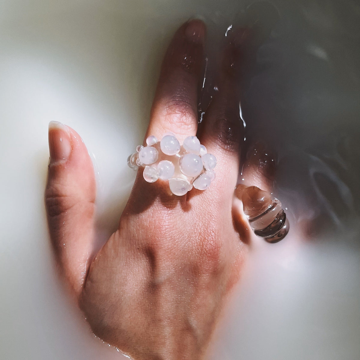 Coral Blanco